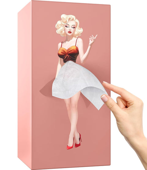 Cartoon anime girl tissue box flying skirt tissue box pod skirt girl face pumping carton cute desktop decorative ornament m5010683